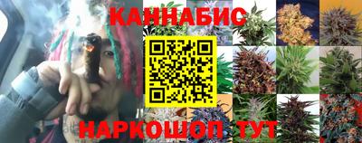 гашик Туймазы