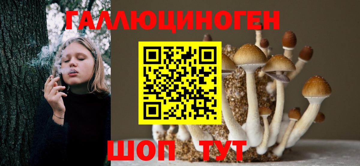 Галлюциногенные грибы MAGIC MUSHROOMS Всеволожск