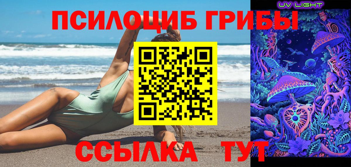 Всеволожск  Галлюциногенные грибы Psilocybine cubensis  Вход с VPN 